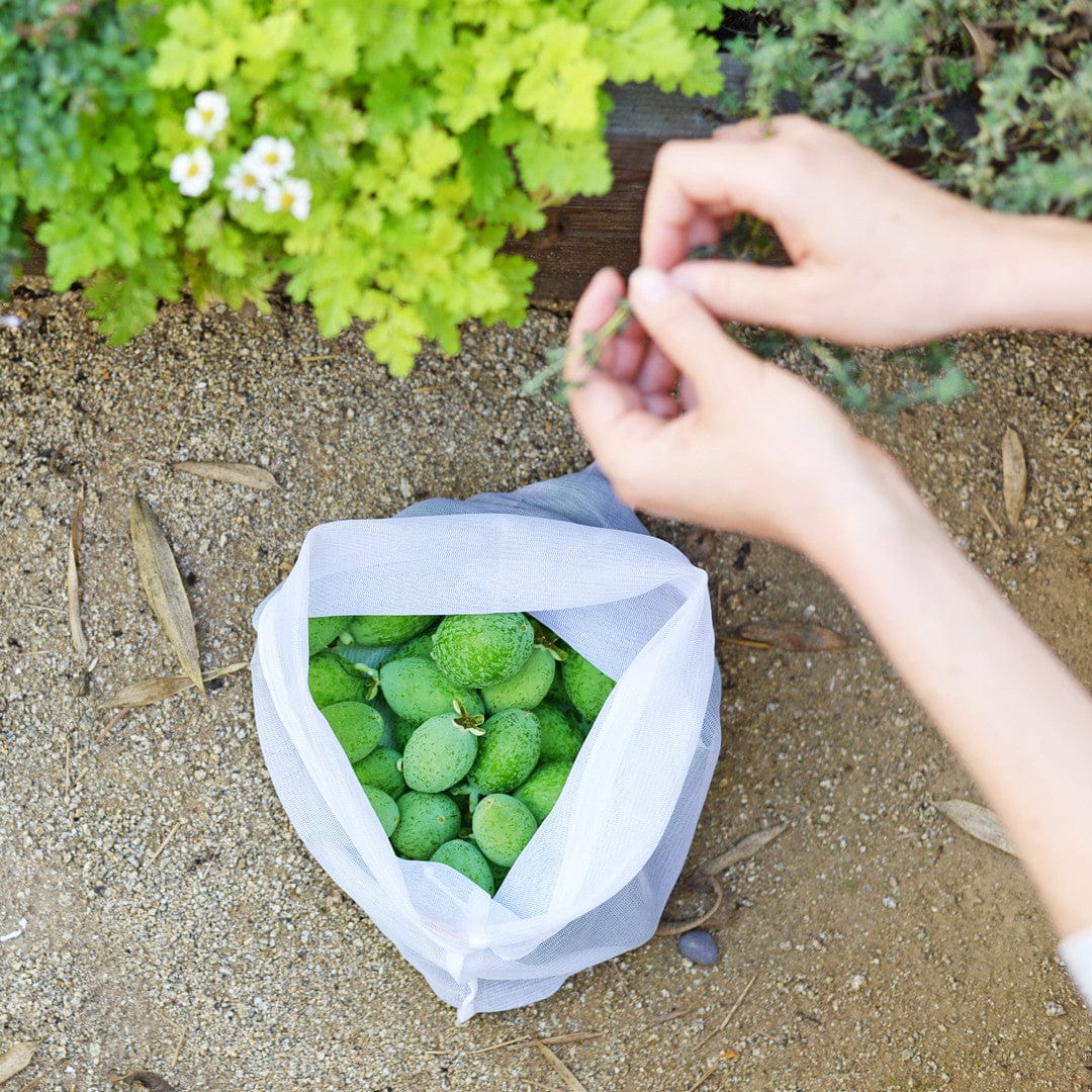 Flip and tumble set 2025 of 5 reusable produce bags